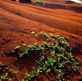 Epic喜加一：《阿斯特赖亚》免费领取